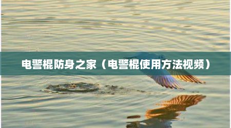 电警棍防身之家（电警棍使用方法视频）