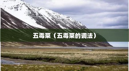五毒菜（五毒菜的调法）