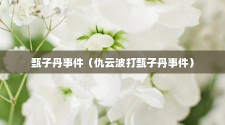 甄子丹事件（仇云波打甄子丹事件）