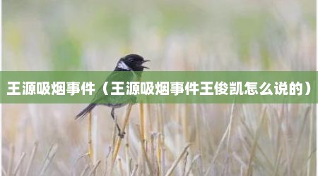 王源吸烟事件（王源吸烟事件王俊凯怎么说的）