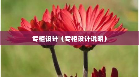 专柜设计（专柜设计说明）