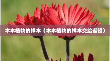 木本植物的样本（木本植物的样本交给诺顿）