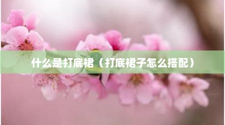 什么是打底裙（打底裙子怎么搭配）