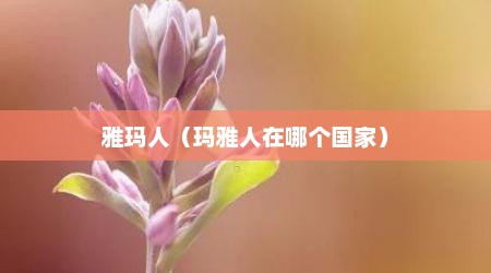雅玛人（玛雅人在哪个国家）