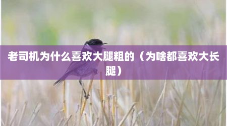 老司机为什么喜欢大腿粗的（为啥都喜欢大长腿）