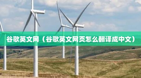 谷歌英文网（谷歌英文网页怎么翻译成中文）