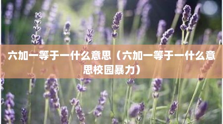 六加一等于一什么意思（六加一等于一什么意思校园暴力）