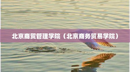 北京商贸管理学院（北京商务贸易学院）