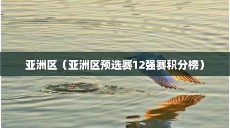 亚洲区（亚洲区预选赛12强赛积分榜）