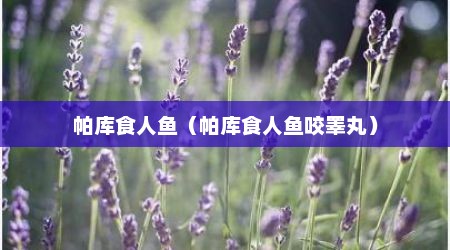 帕库食人鱼（帕库食人鱼咬睾丸）