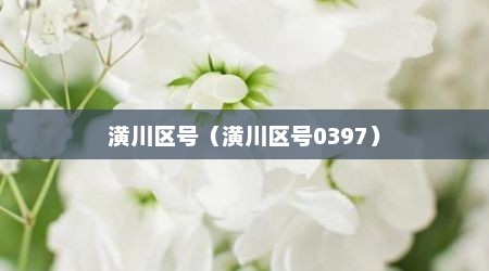 潢川区号（潢川区号0397）