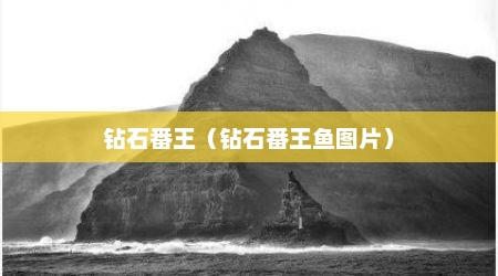 钻石番王（钻石番王鱼图片）
