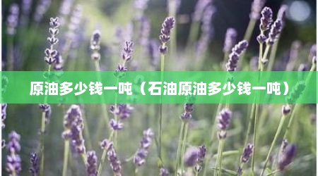 原油多少钱一吨（石油原油多少钱一吨）