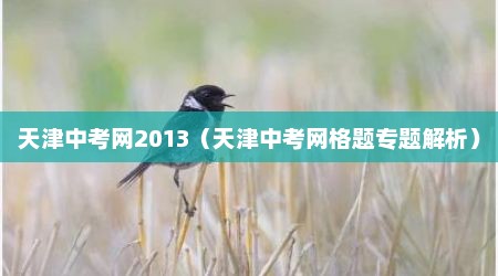 天津中考网2013（天津中考网格题专题解析）