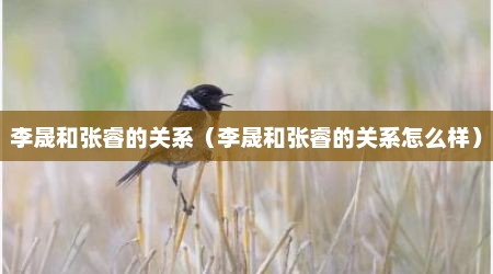 李晟和张睿的关系（李晟和张睿的关系怎么样）
