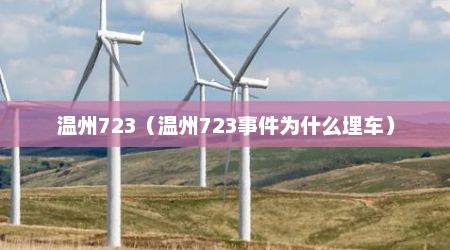 温州723（温州723事件为什么埋车）