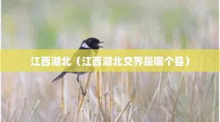 江西湖北（江西湖北交界是哪个县）