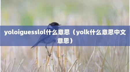 yoloiguesslol什么意思（yolk什么意思中文意思）