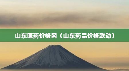 山东医药价格网（山东药品价格联动）