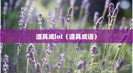 道具成lol（道具成语）