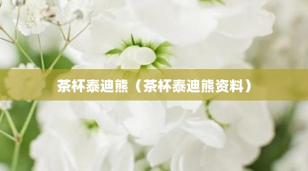 茶杯泰迪熊（茶杯泰迪熊资料）