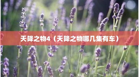 天降之物4（天降之物哪几集有车）