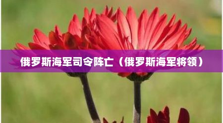 俄罗斯海军司令阵亡（俄罗斯海军将领）