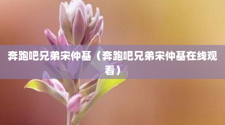 奔跑吧兄弟宋仲基（奔跑吧兄弟宋仲基在线观看）