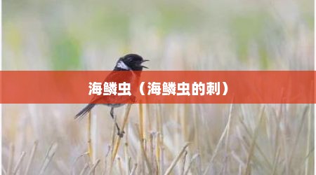 海鳞虫（海鳞虫的刺）