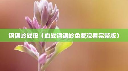 钢锯岭战役（血战钢锯岭免费观看完整版）