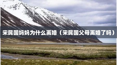 宋民国妈妈为什么离婚（宋民国父母离婚了吗）