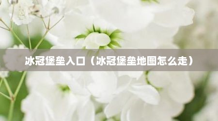 冰冠堡垒入口（冰冠堡垒地图怎么走）