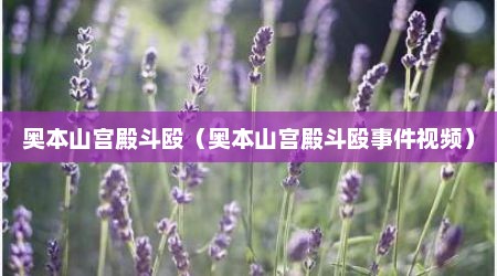奥本山宫殿斗殴（奥本山宫殿斗殴事件视频）