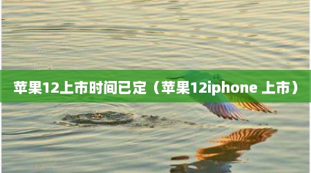 苹果12上市时间已定（苹果12iphone 上市）
