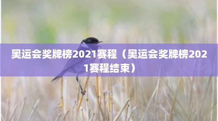 奥运会奖牌榜2021赛程（奥运会奖牌榜2021赛程结束）