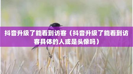 抖音升级了能看到访客（抖音升级了能看到访客具体的人或是头像吗）