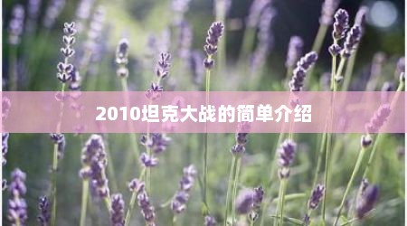2010坦克大战的简单介绍