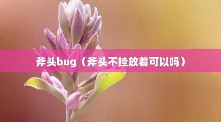 斧头bug（斧头不挂放着可以吗）