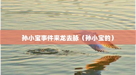 孙小宝事件来龙去脉（孙小宝的）