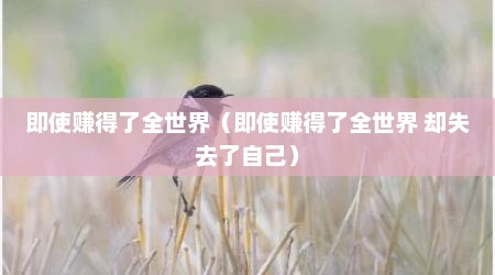 即使赚得了全世界（即使赚得了全世界 却失去了自己）