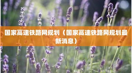 国家高速铁路网规划（国家高速铁路网规划最新消息）