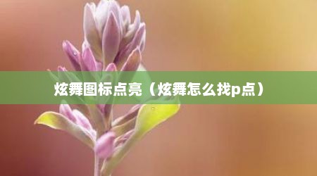 炫舞图标点亮（炫舞怎么找p点）
