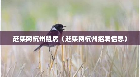 赶集网杭州租房（赶集网杭州招聘信息）