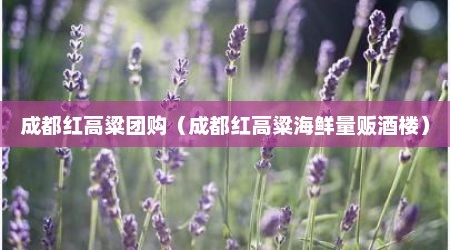 成都红高粱团购（成都红高粱海鲜量贩酒楼）
