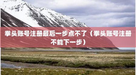 拳头账号注册最后一步点不了（拳头账号注册不能下一步）