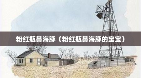 粉红瓶鼻海豚（粉红瓶鼻海豚的宝宝）
