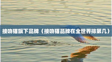 接吻猫旗下品牌（接吻猫品牌在全世界排第几）