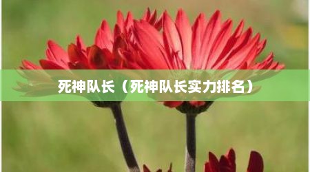 死神队长（死神队长实力排名）