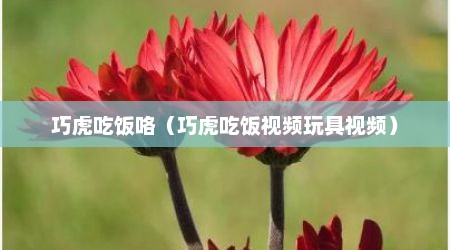 巧虎吃饭咯（巧虎吃饭视频玩具视频）