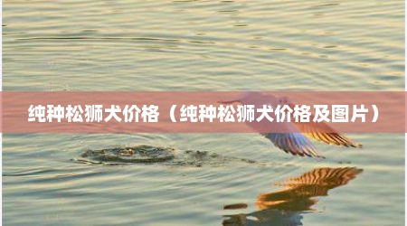 纯种松狮犬价格（纯种松狮犬价格及图片）